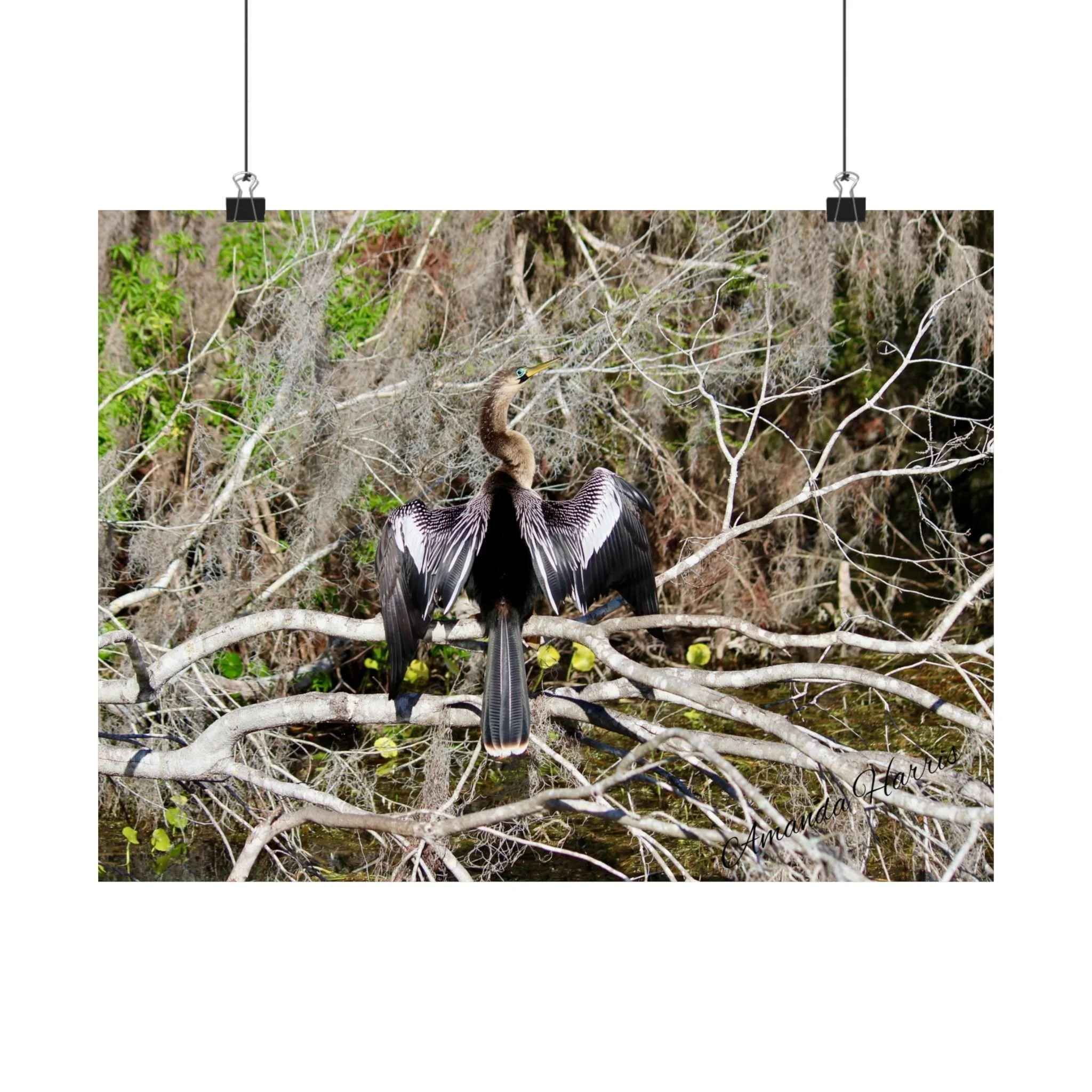 5a7f369eb0b3596b46a834ef26f50518