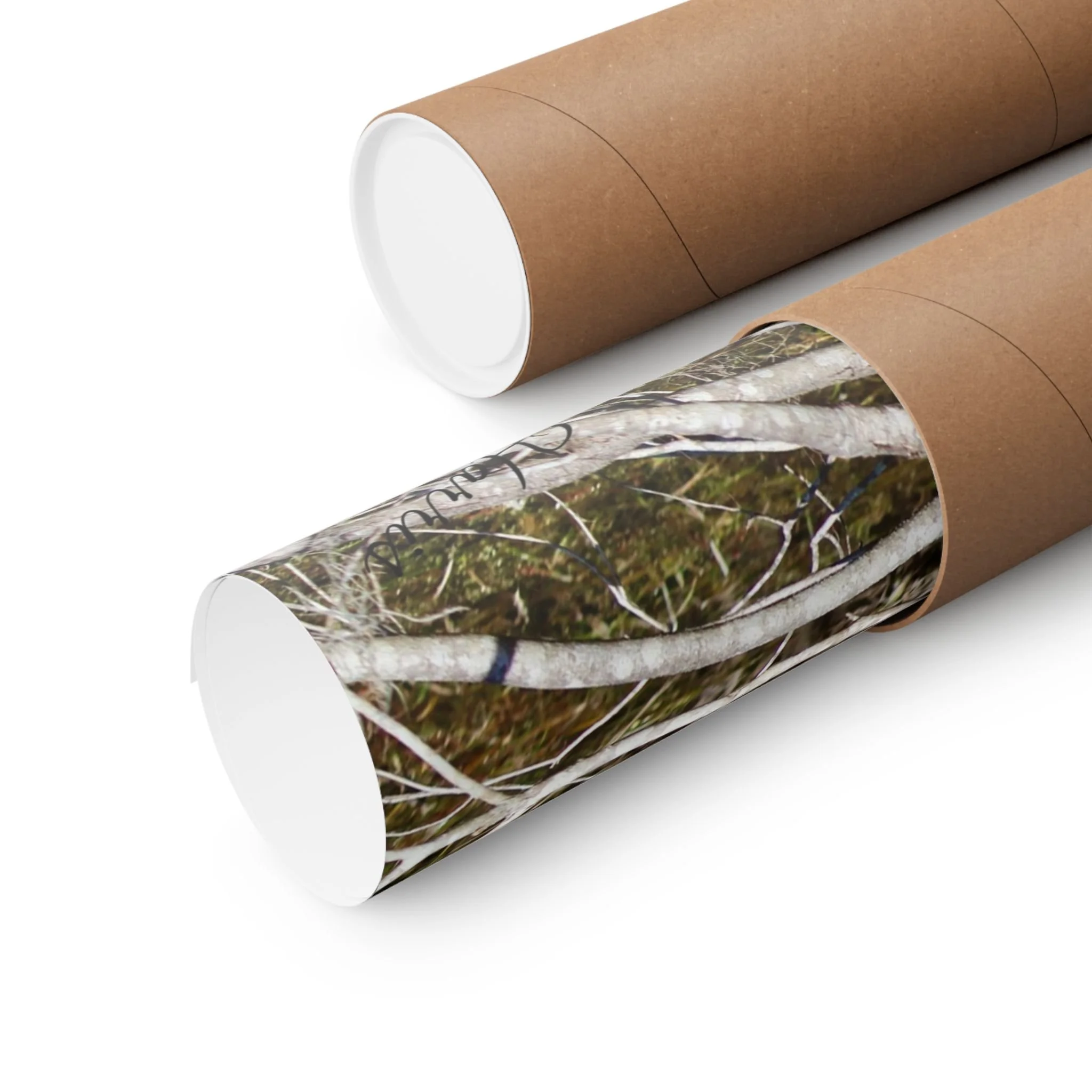 c7313e22fe5e3c24a5b2d00093ccbc34