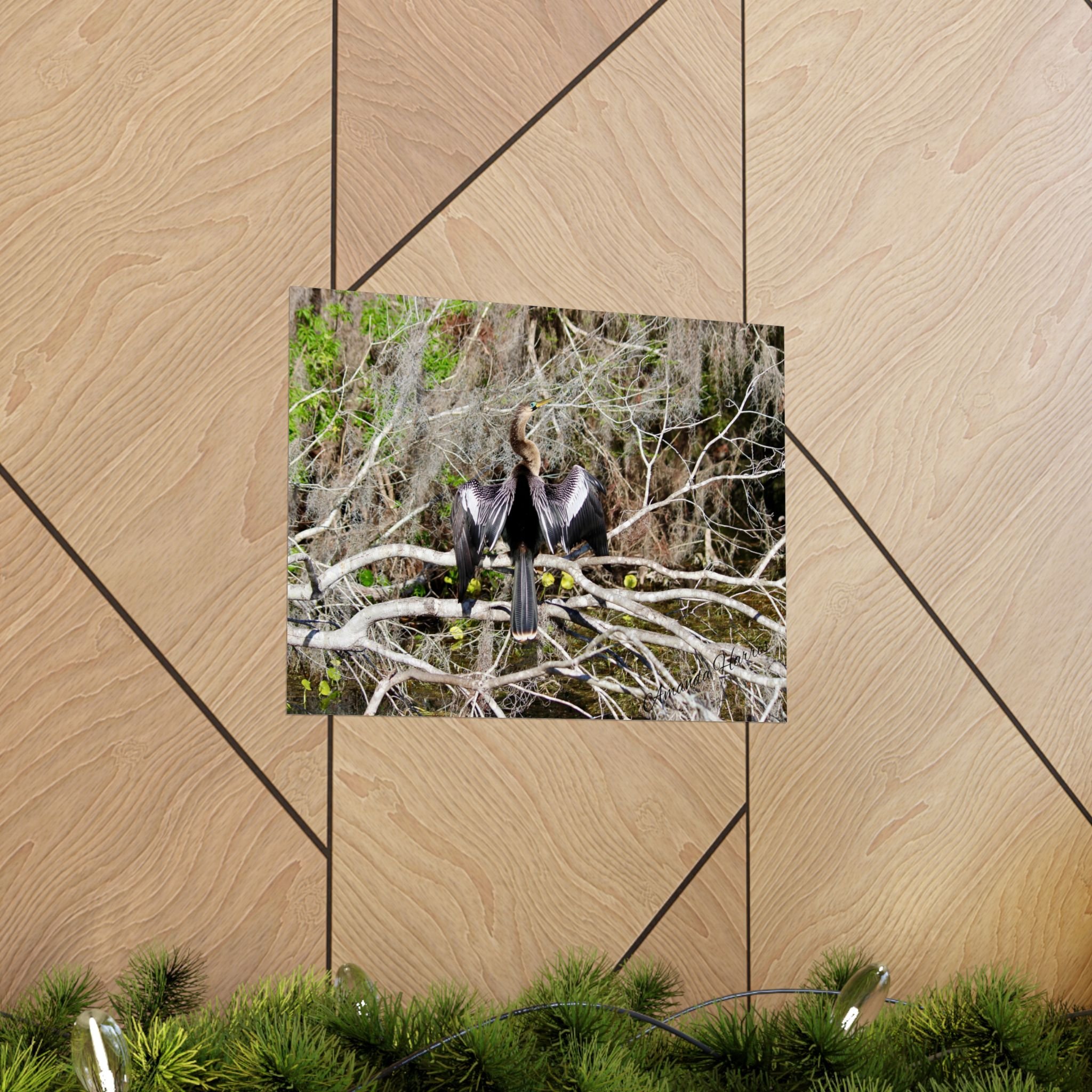 0c7d9151d5186adcce4461b04fbaf626