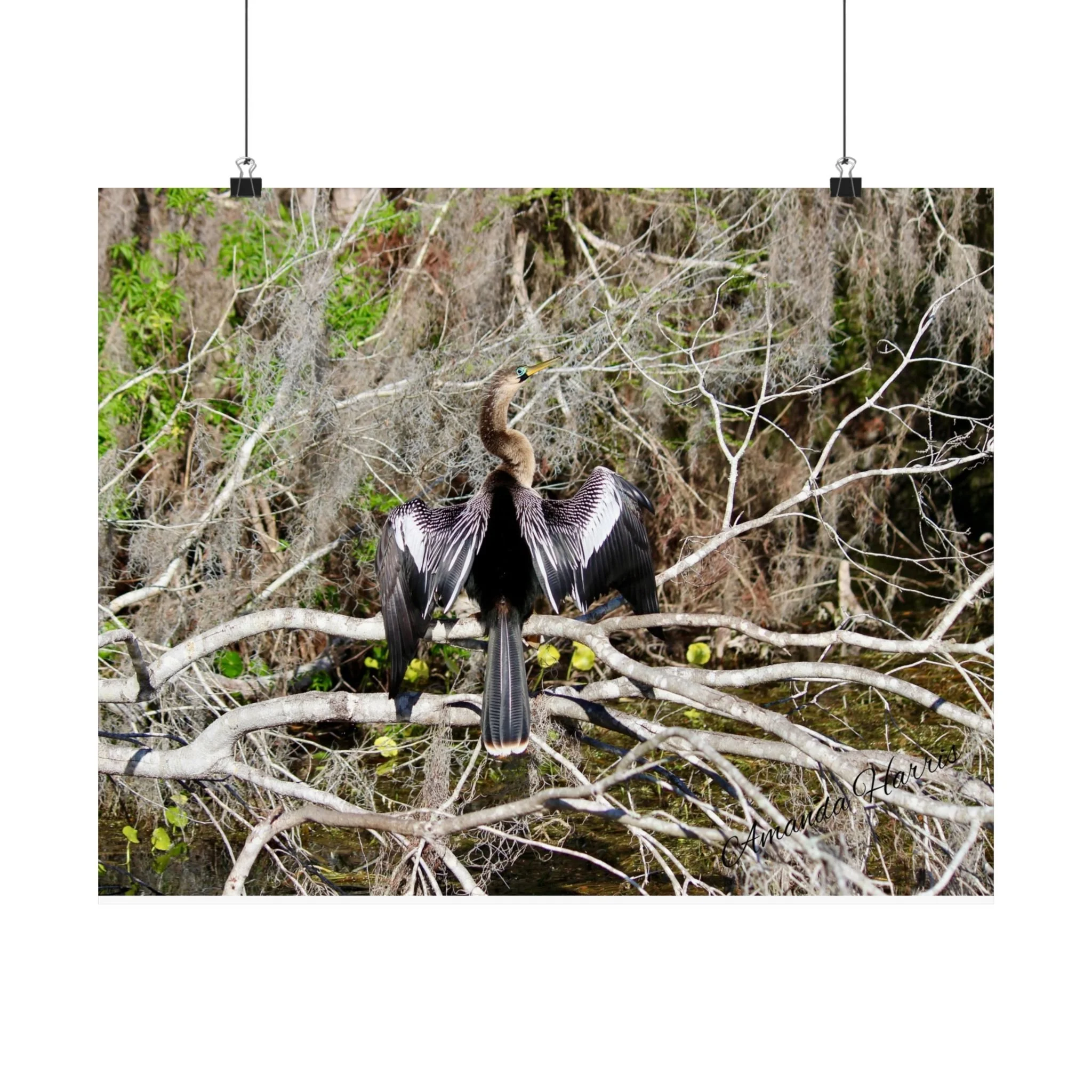 3a9041c7e829b7384d5a3bb3d826ad77