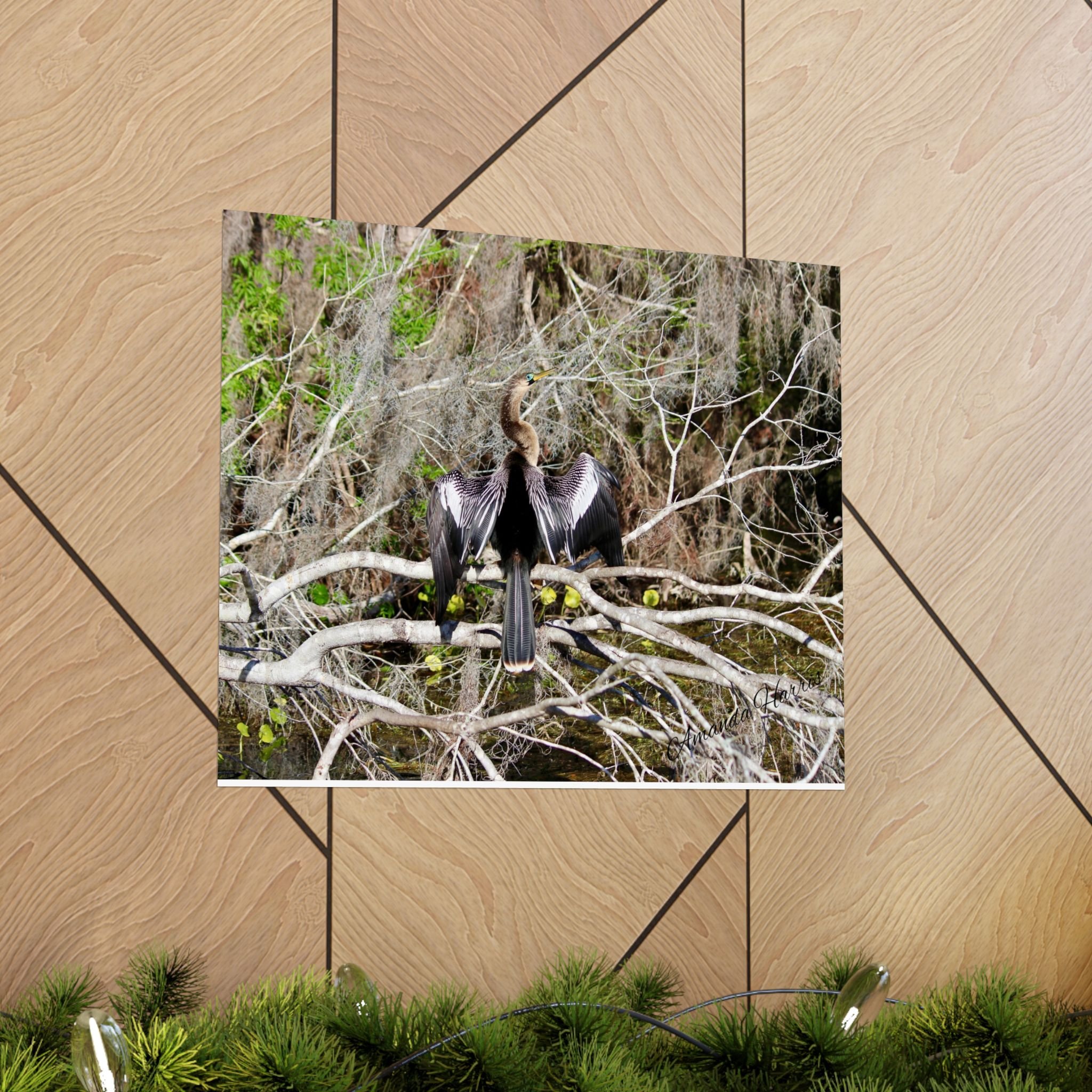 17094e6742d3e3a4f26e7b541a8997aa