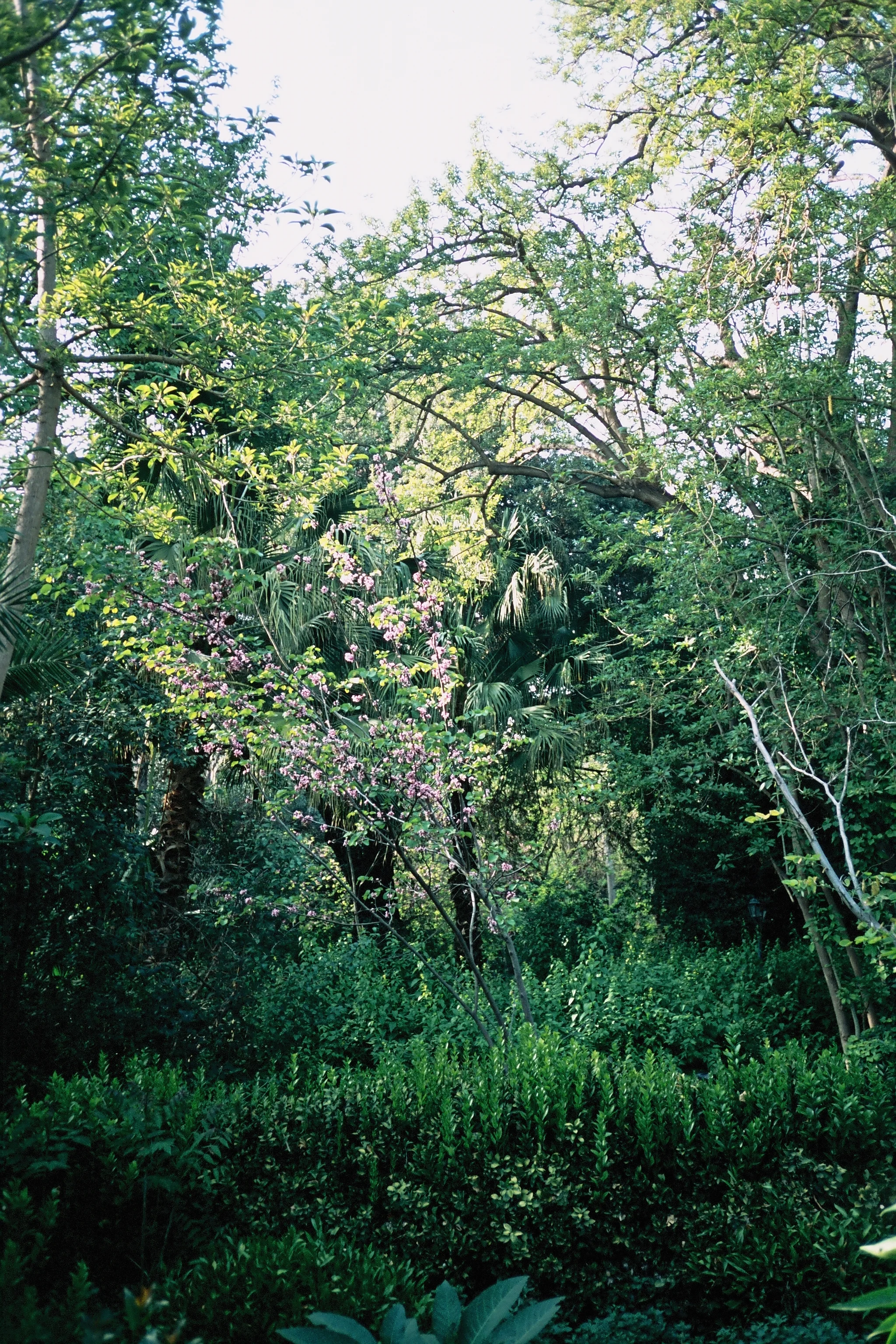 7nationalgarden.jpg
