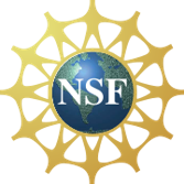 nsflogoforgencyber2017.png