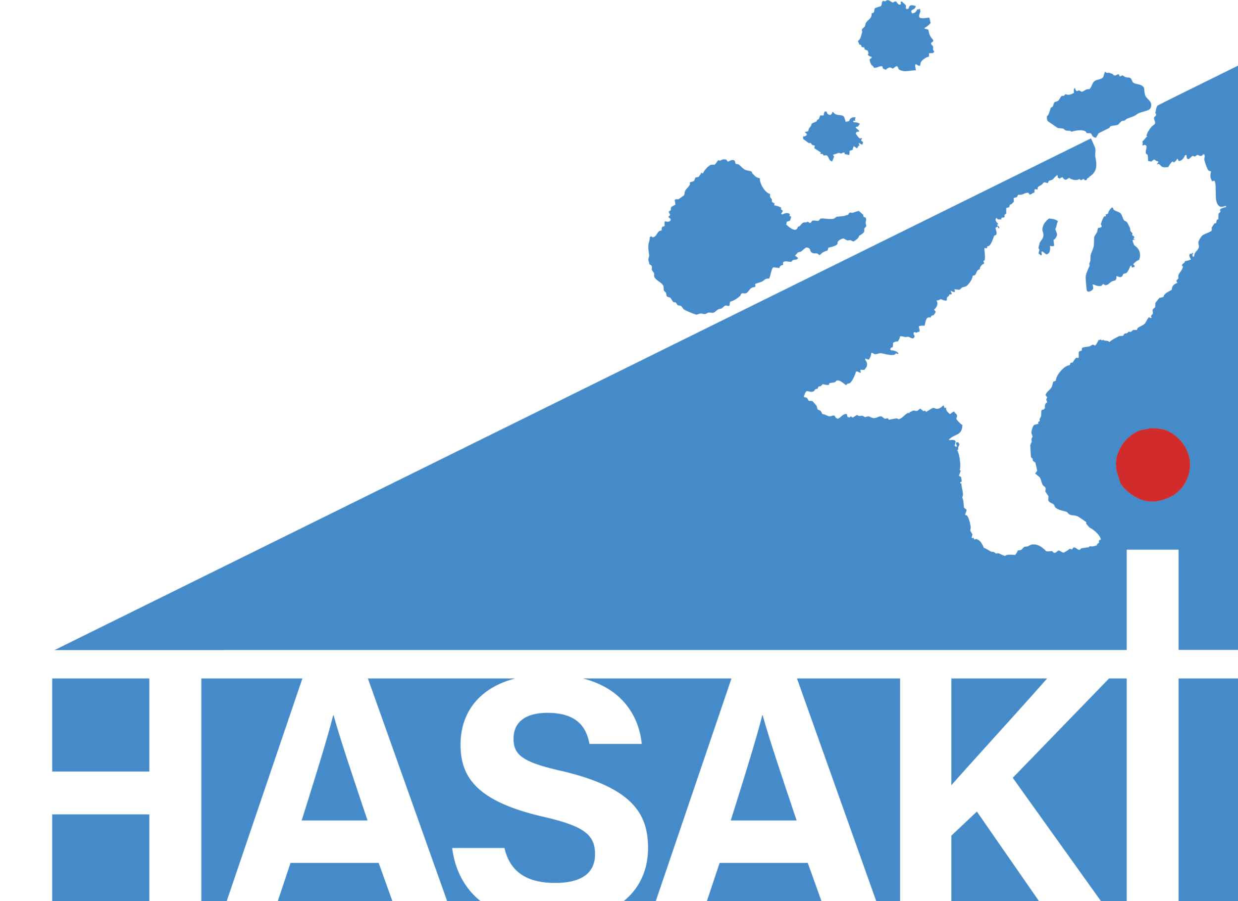 HASAKI LOGO