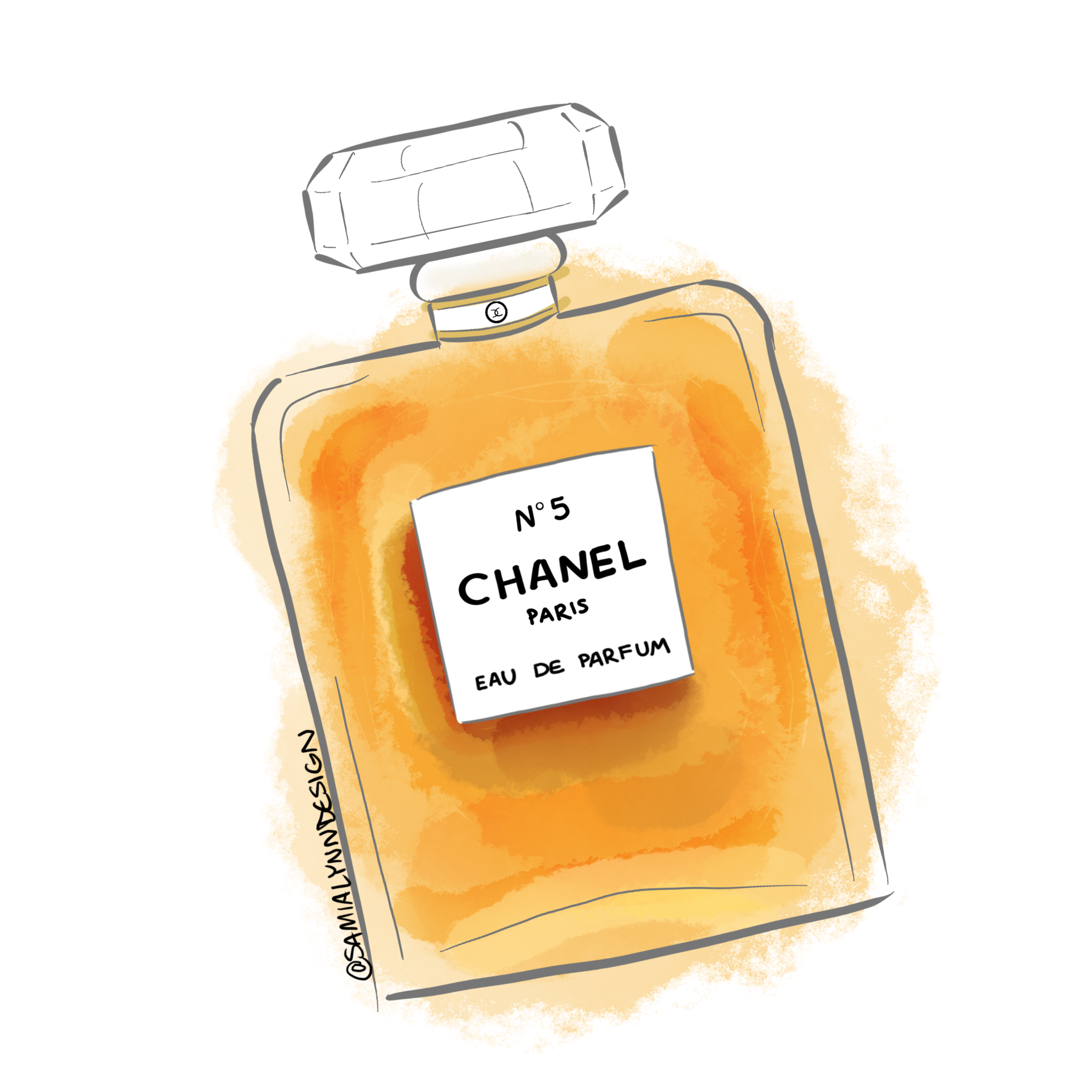 chanel bottle drawing