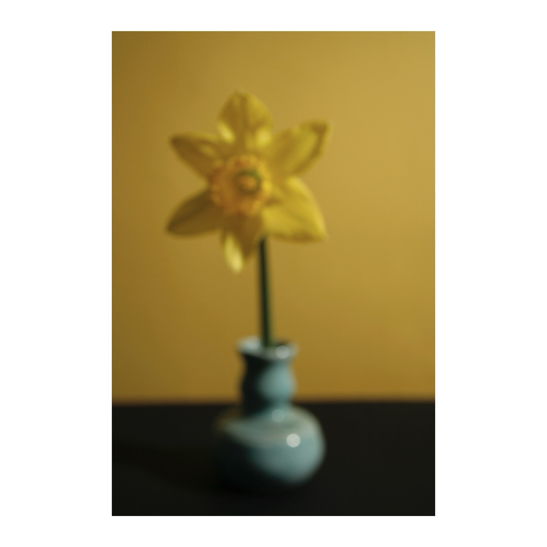#fbf Sometimes i like my daffodils blurry. &ldquo;They flash upon that inward eye. Which is the bliss of solitude&rdquo; 
&bull;
#wordsworth #daffodils🌼 #splendorinthegrass #fleurdujour #ocagnc #ncartist
