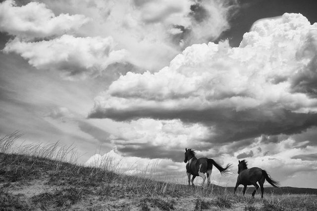 Photographer: Brett L. Erickson