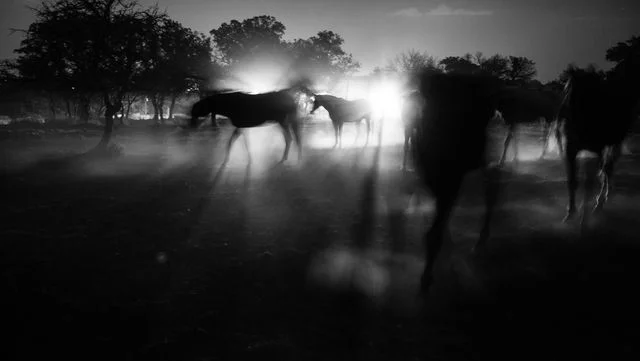 Photographer: Anneke Paterson