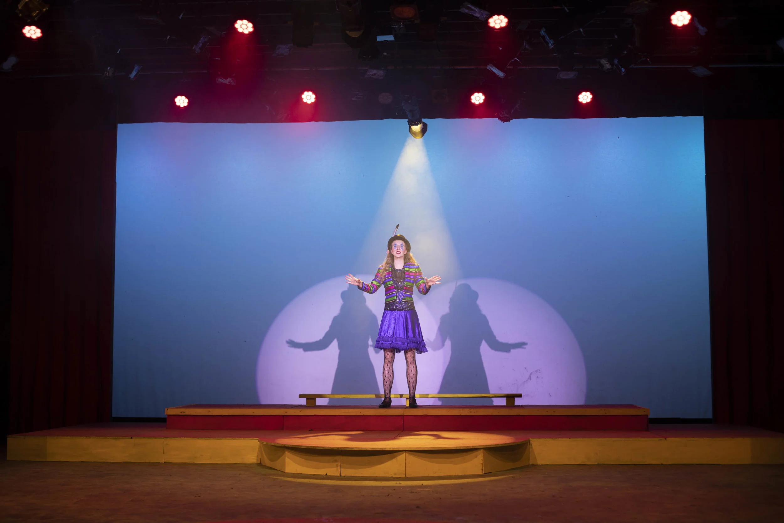 Barnum by Jehanne-Marie Milne-35.jpg