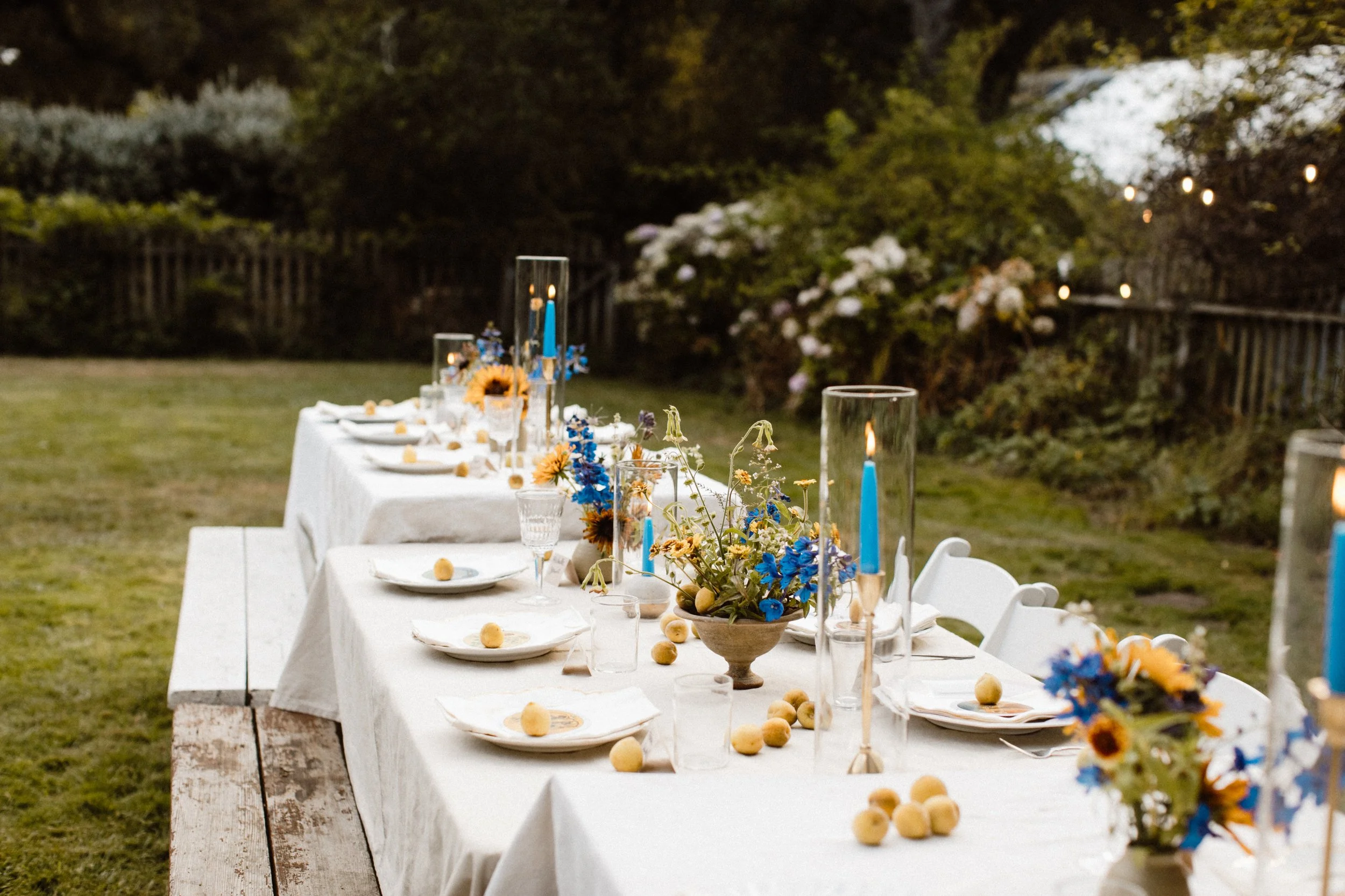 gather_aug-91.jpg