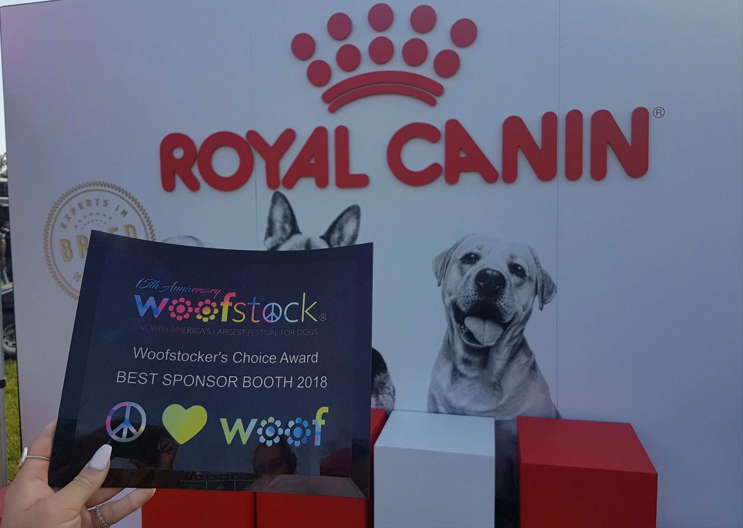 Woofstock3.jpg
