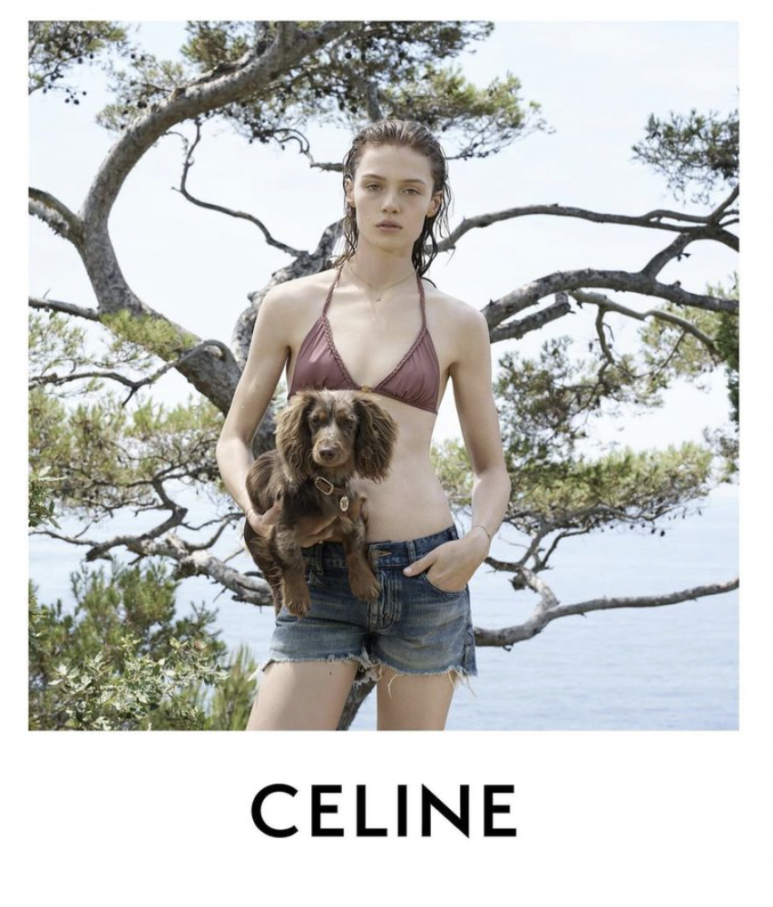 Screen Shot 2026-02-06 at 2.00.28 PM.png