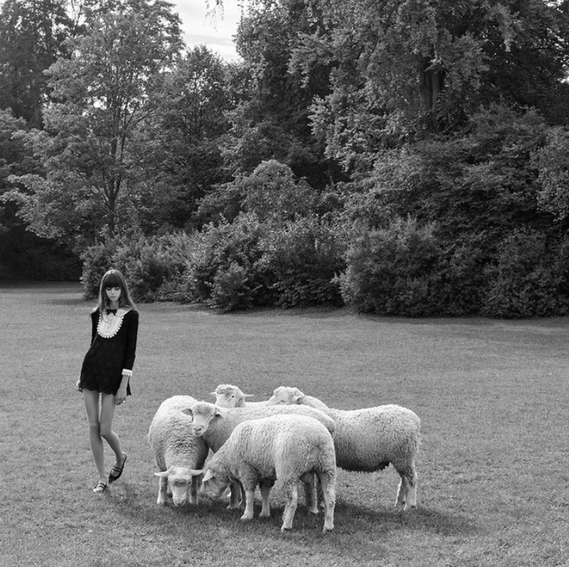 Screen Shot 2026-02-06 at 2.56.39 PM.png