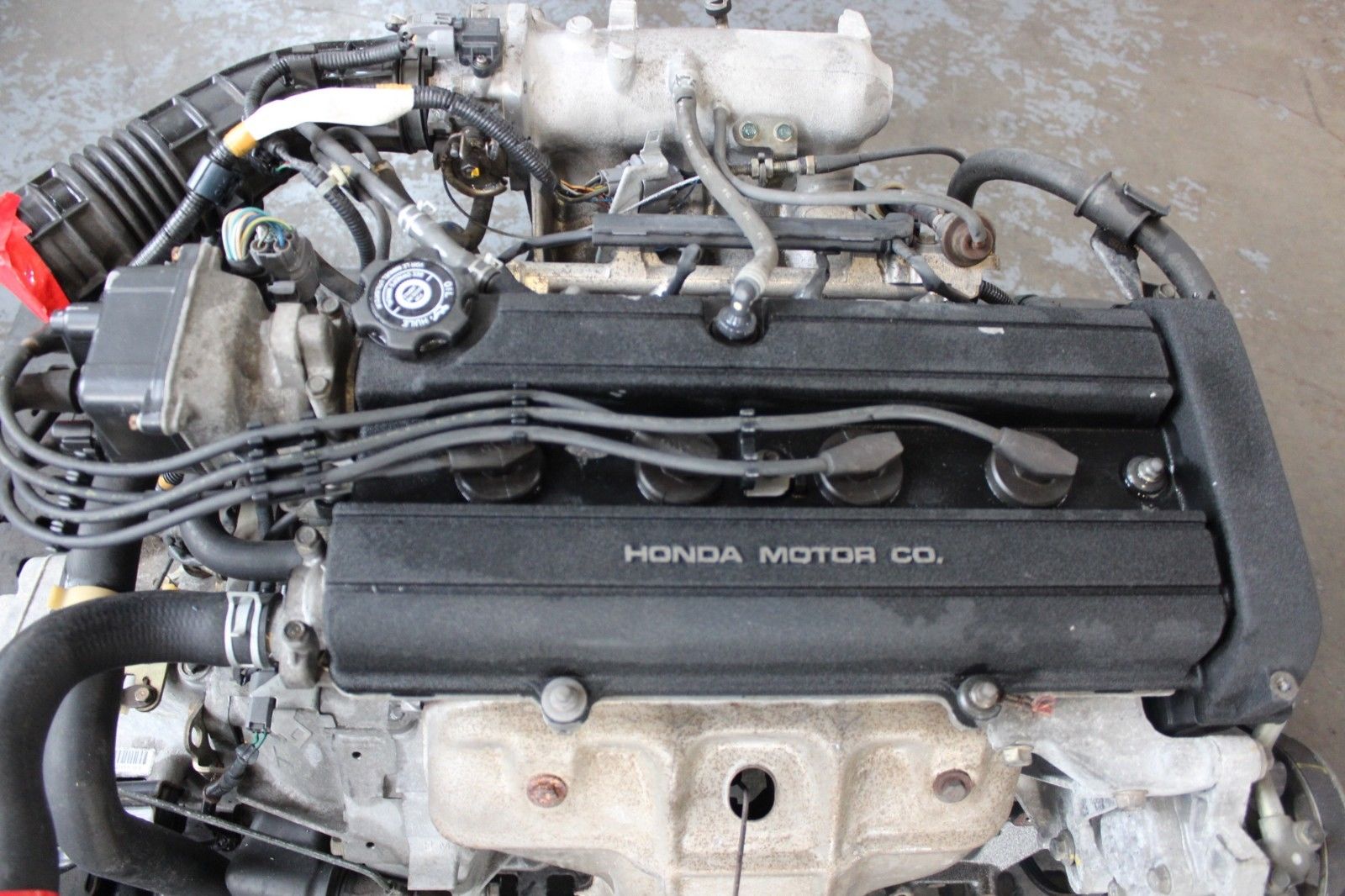 s-l1600 - 2019-02-14T140324.491.jpg
