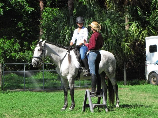 What the Heck is a Half Halt Anyway?