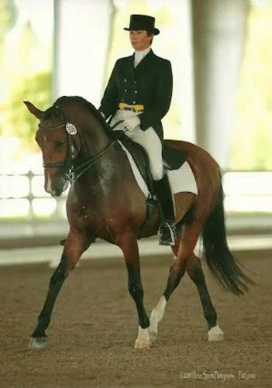 Screenshot 2026-03-05 134500.jpg