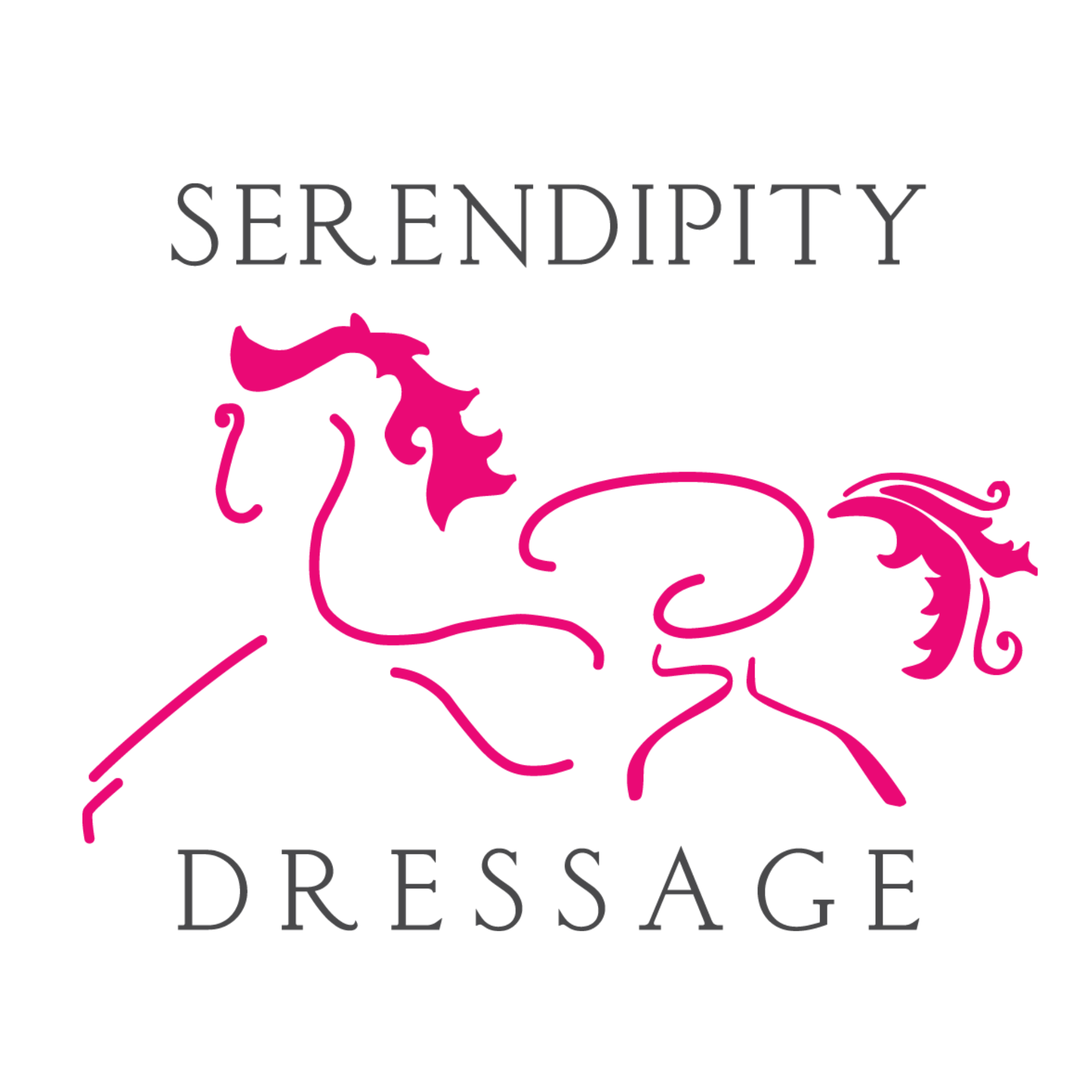 Rider Biomechanics &amp; Dressage Clinic