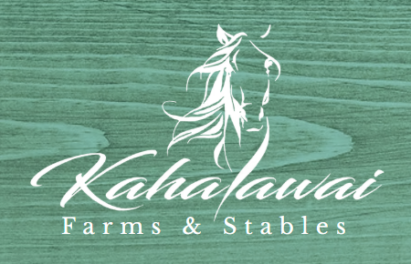 Rider Biomechanics Clinic at Kahalawai Stables