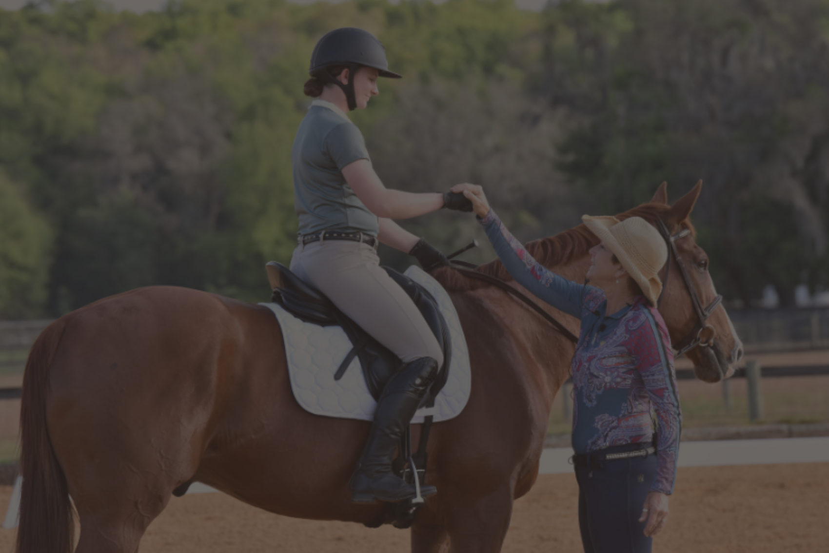 Untitled design (12).png