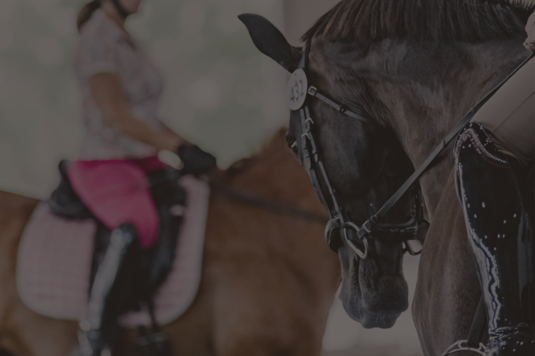 Untitled design (8).png