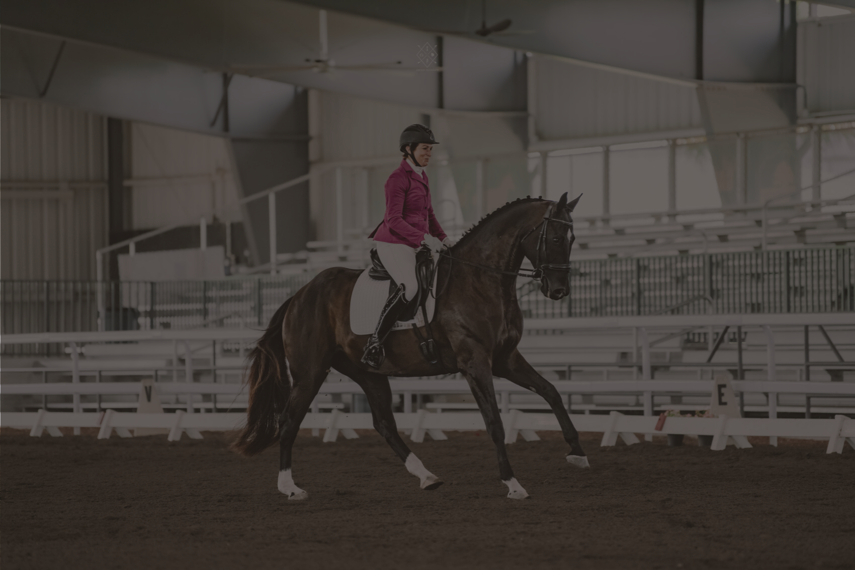 Untitled design (9).png