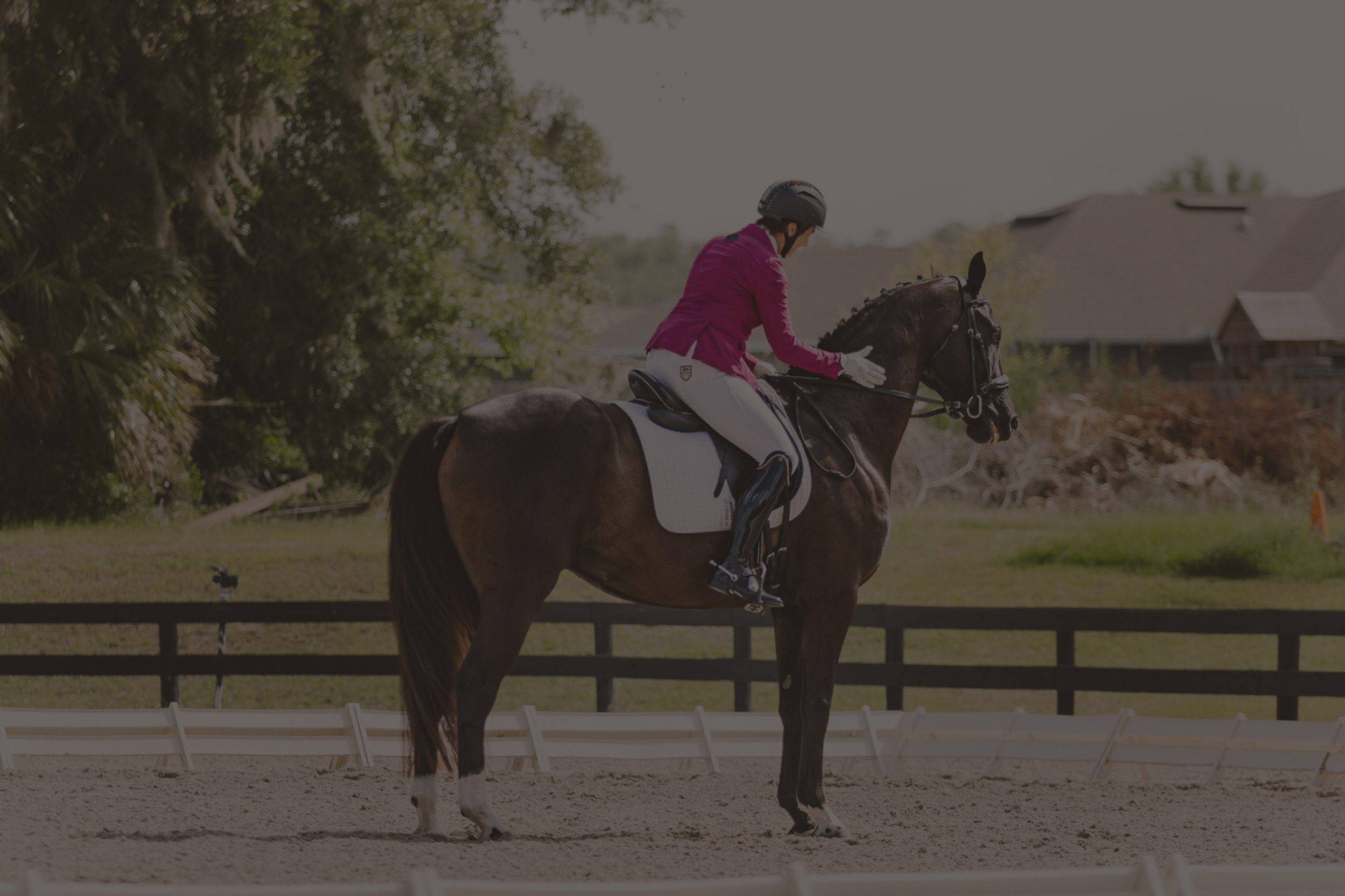 Untitled design (3).png