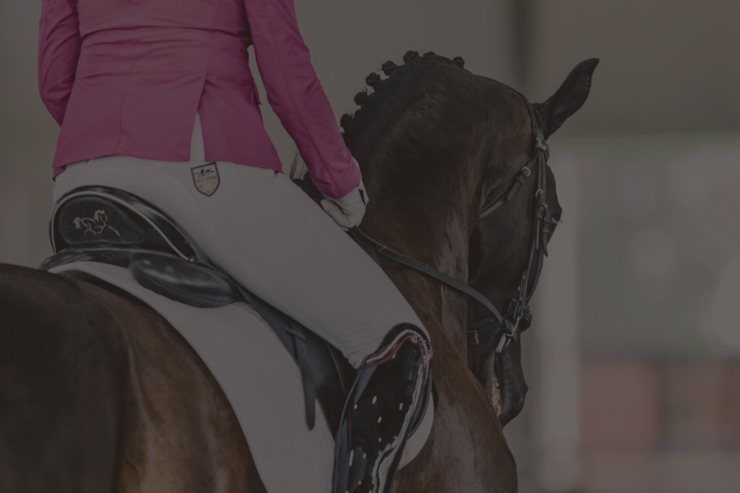 Untitled design (4).png