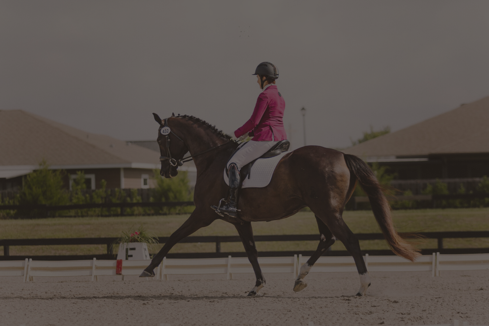 Untitled design (6).png