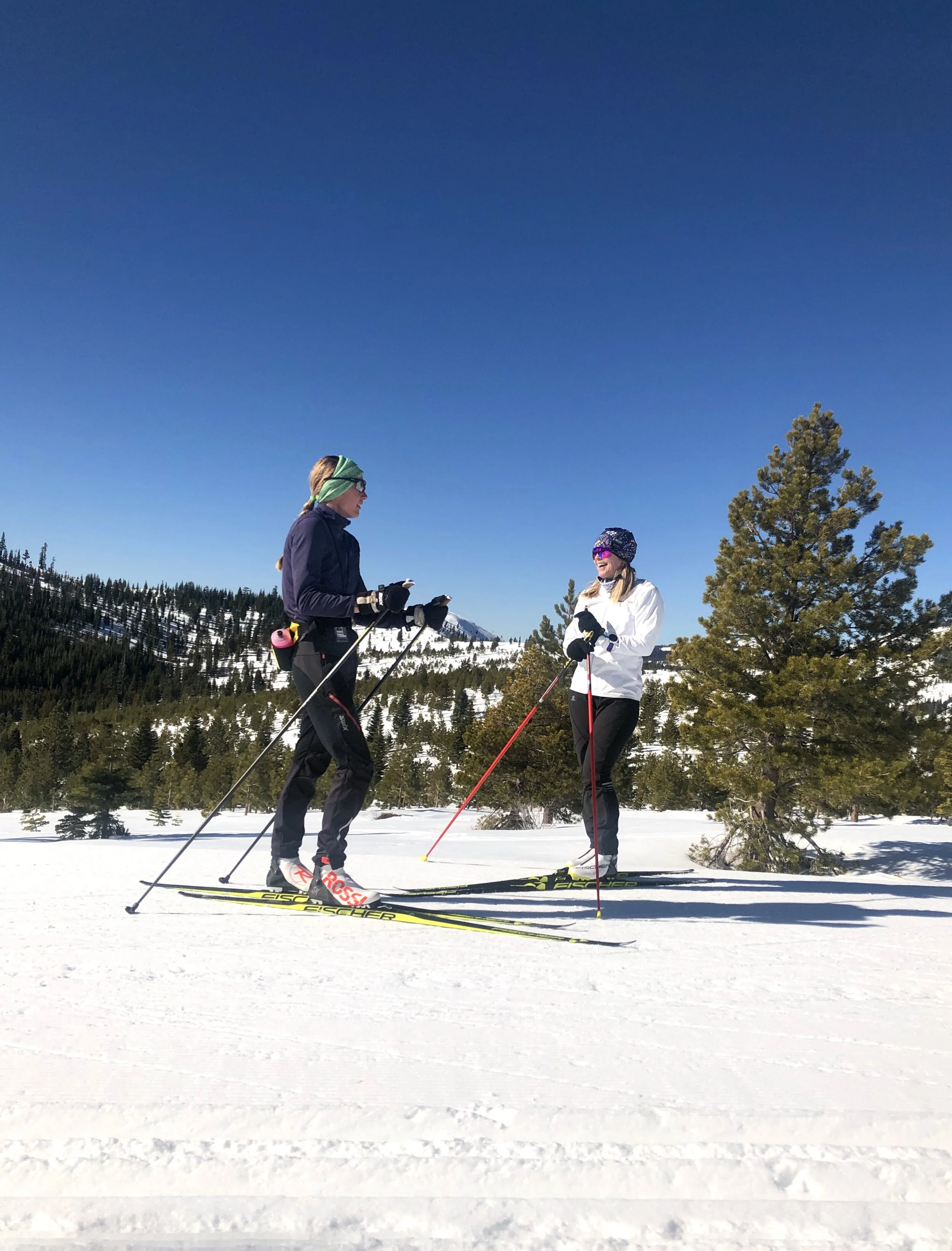 Nordic Ski Structure