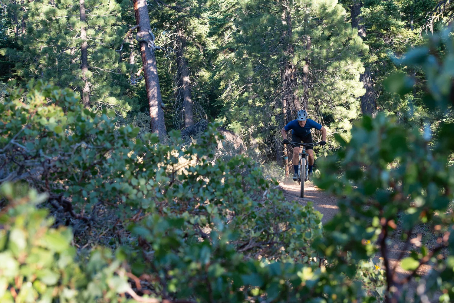 Announcing Pacos Pick-ups