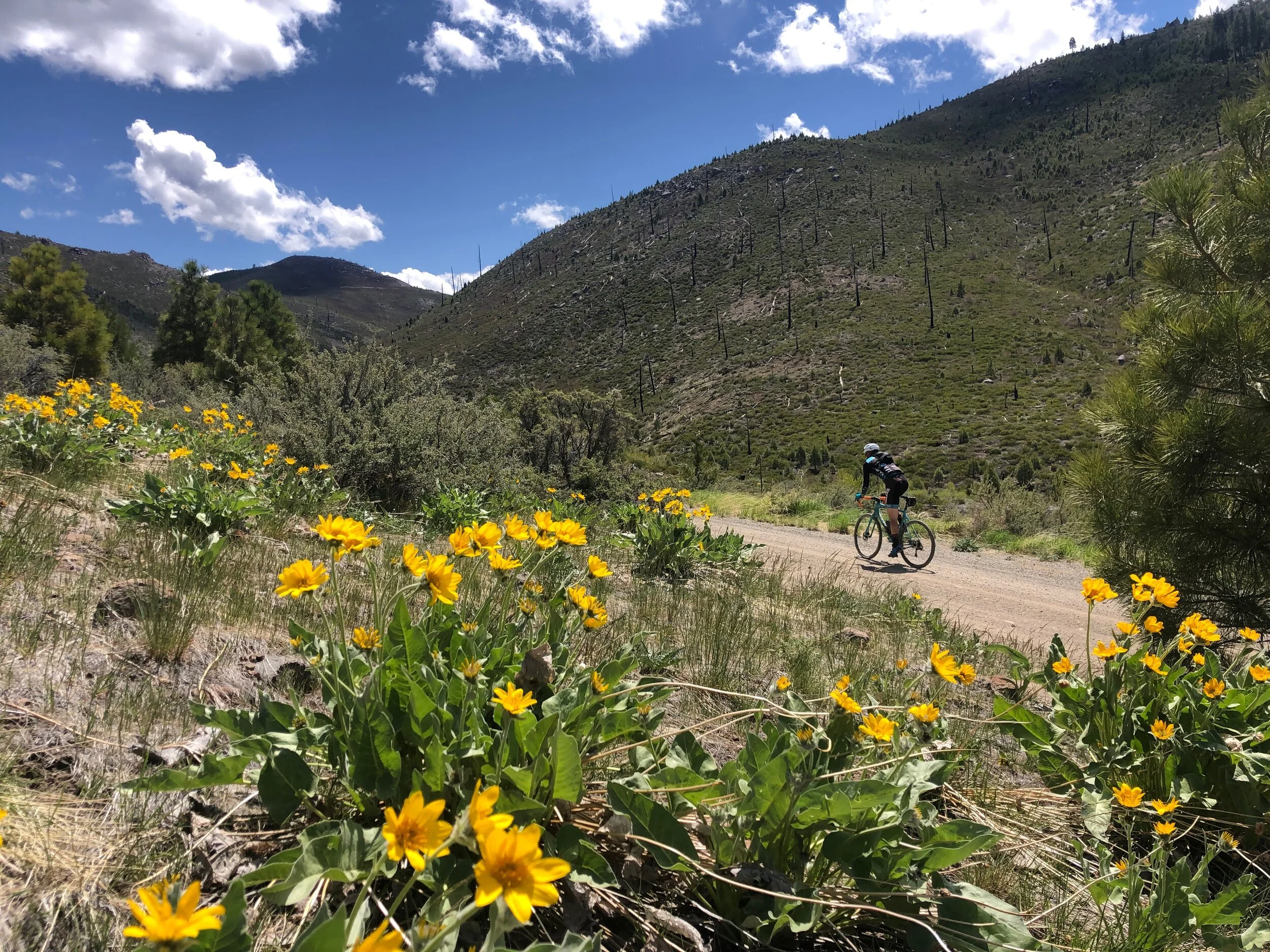 Route Check: Bear Valley Gravel Loop