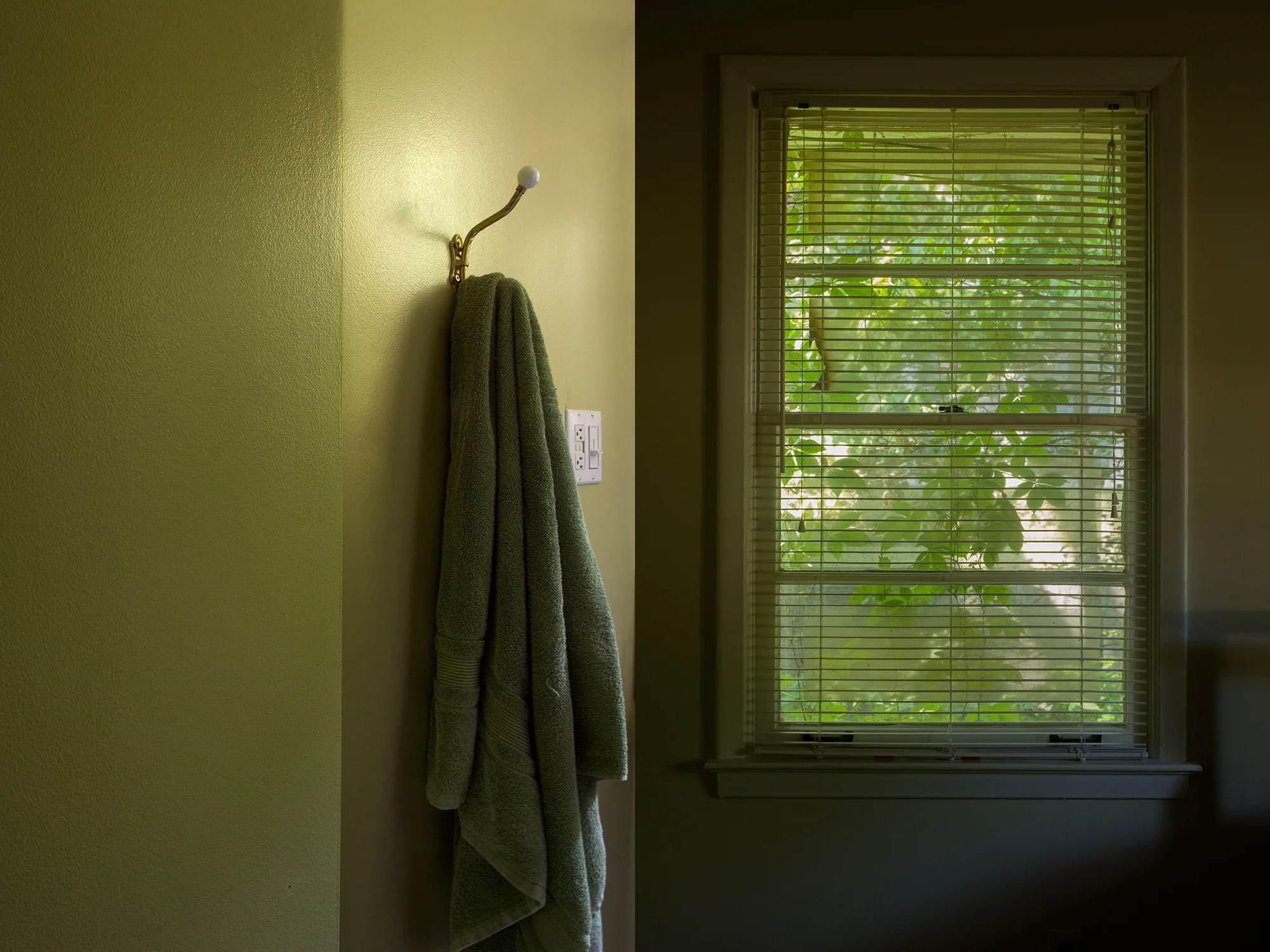 window-leaves_15x20.jpg