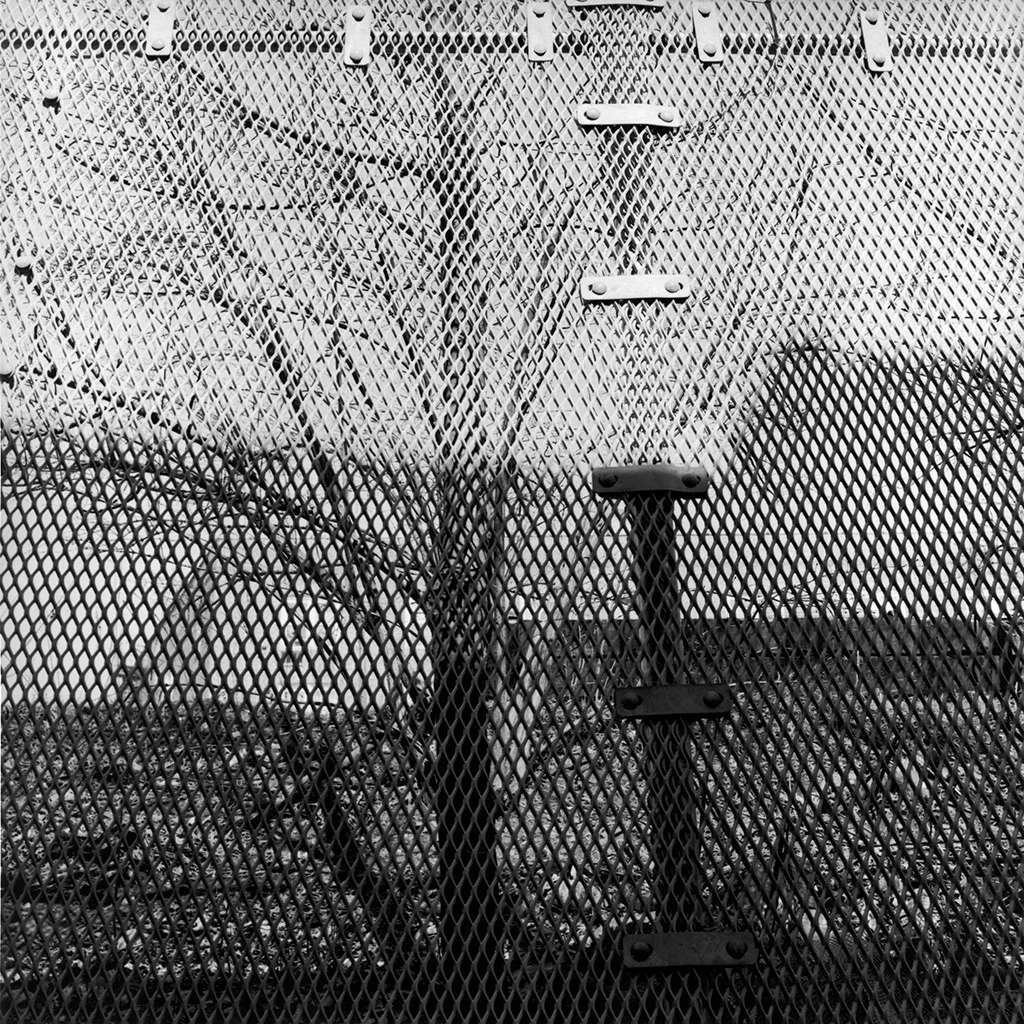 Elmhurst_02.jpg