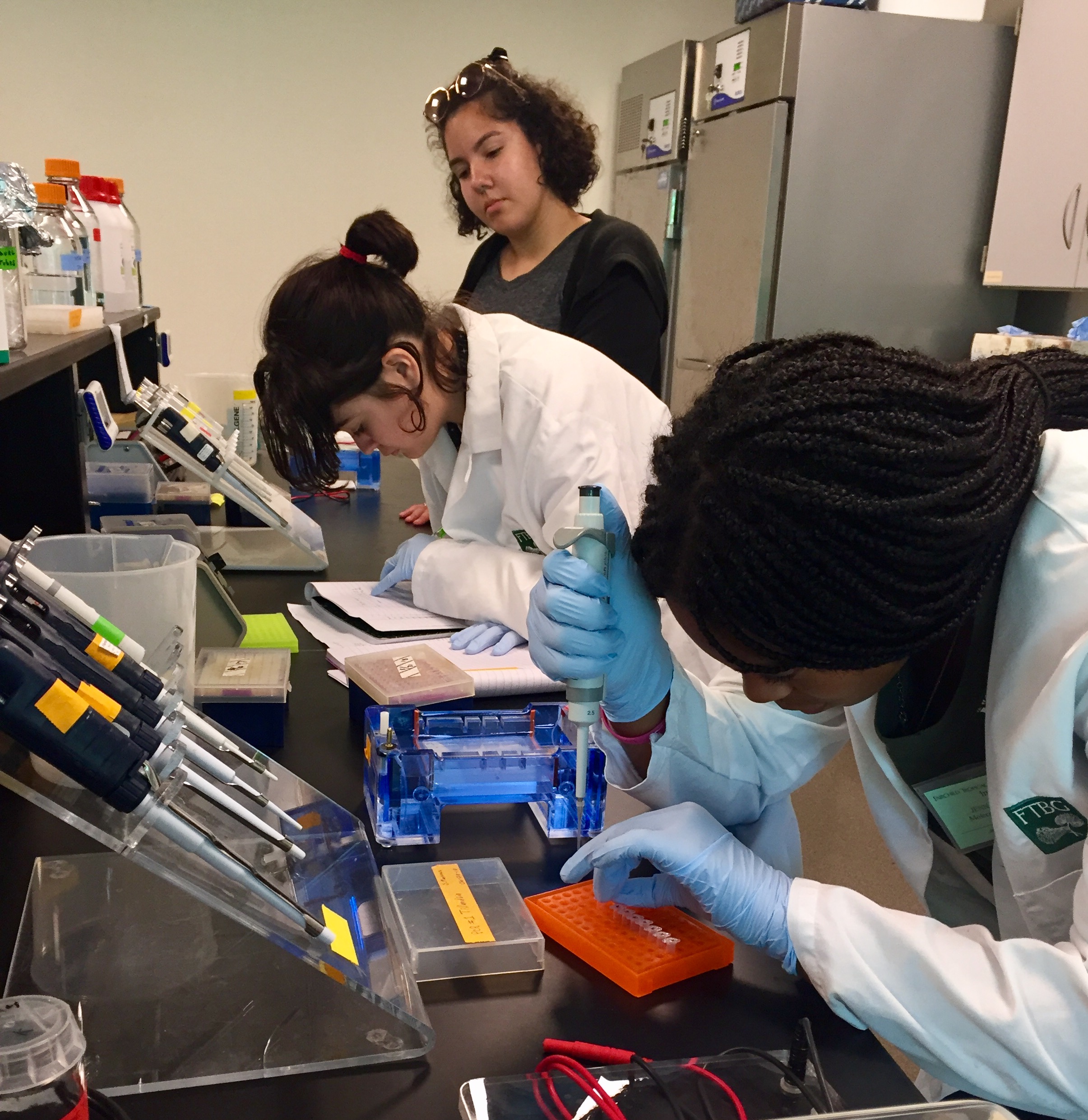 Learning Lab Techniques