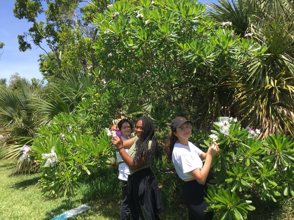 Pollination interns