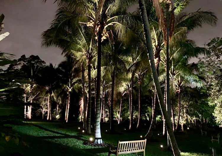 Lightning Talks and an Evening Walk