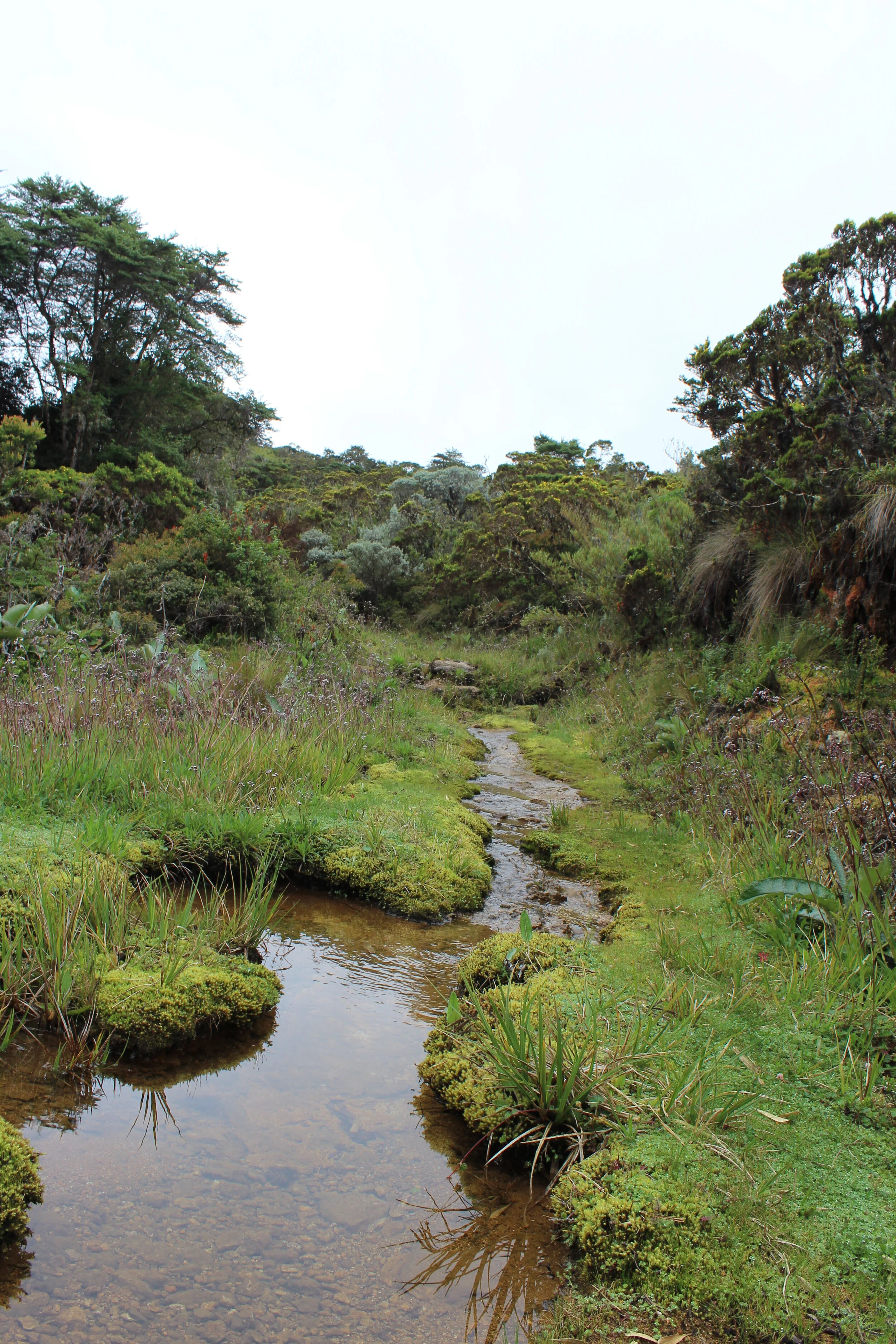 Field-based learning in Costa Rica 