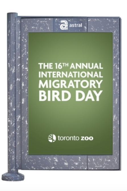 Screen Shot 2017-10-20 at 3.40.26 PM.png