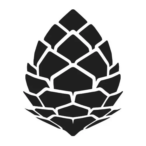 stio.webp