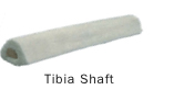 tibiashaft1.jpg