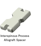 iss-copy1.jpg