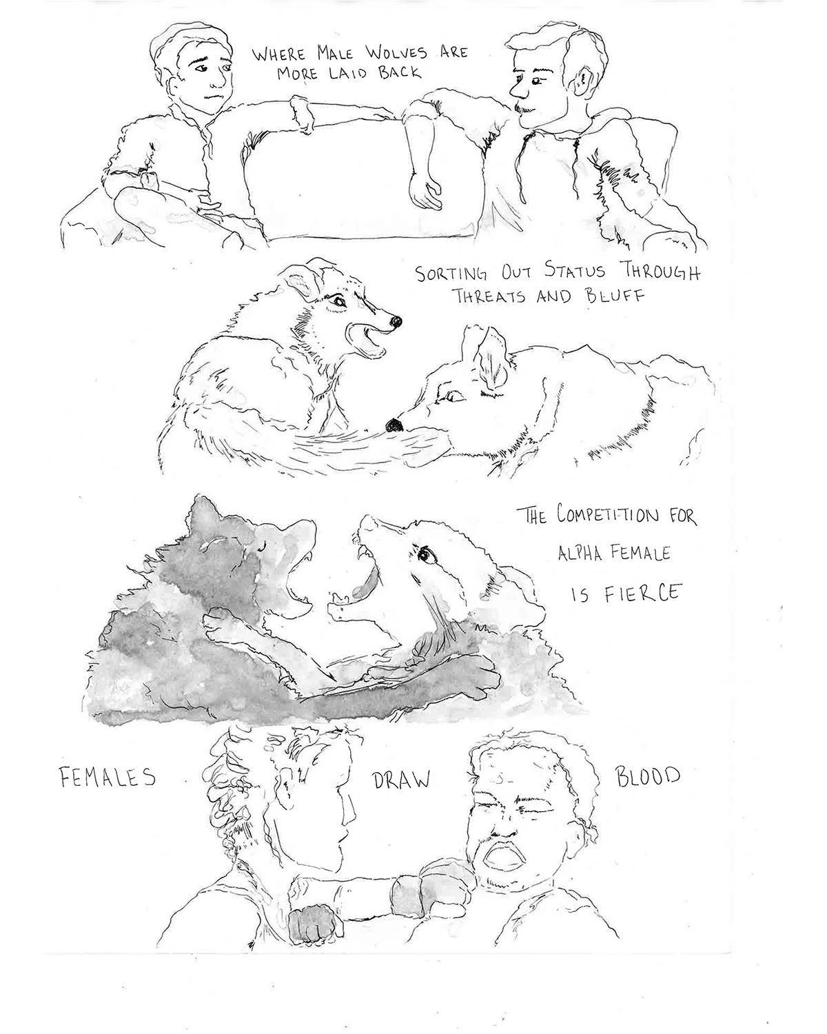 ch2pg3jpg.jpg