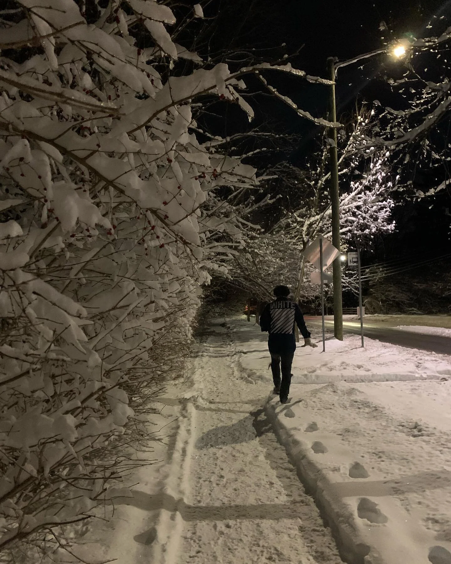 Lukie says: come for a walk
Lukie says: take a picture 
Lukie says: now take a picture of me