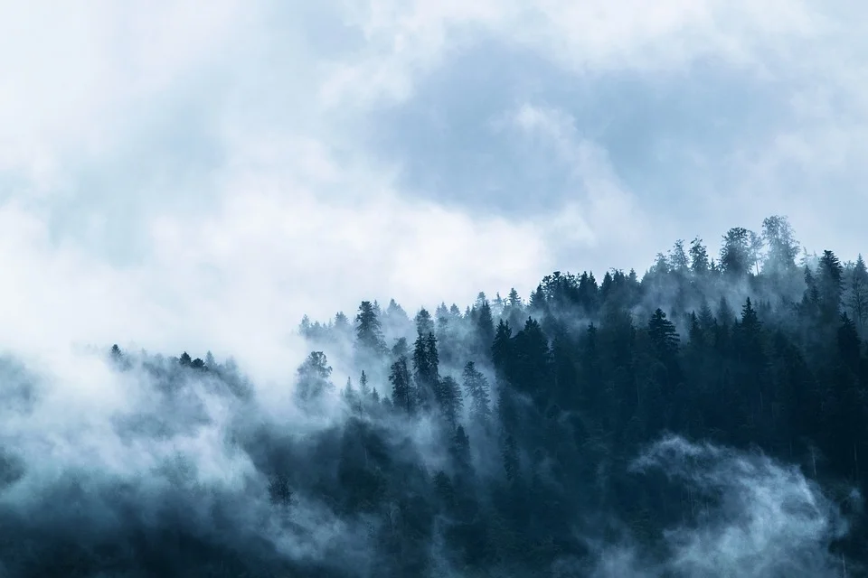 Three poems by Jessica Cathcart