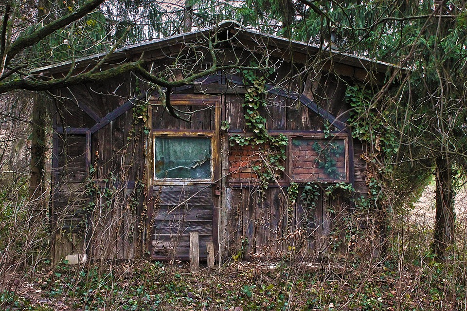 Fiction: Home Improvements