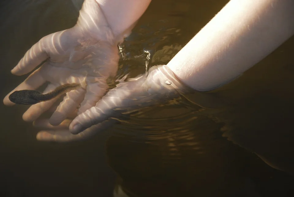 Fiction: The Pale Thing Behind the Waterfall