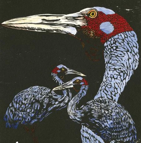 Birds of Bimblebox roost in Gladstone