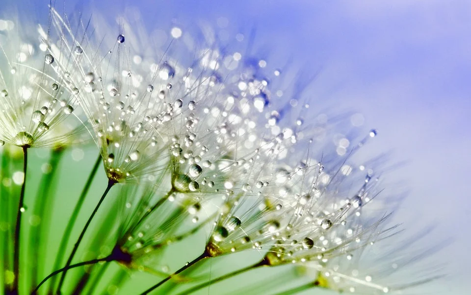 From Christchurch must come compassion