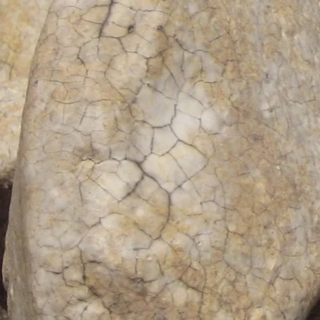 The formation of small, random cracks in the glaze—a common form of water-related deterioration in glazed architectural terra cotta.