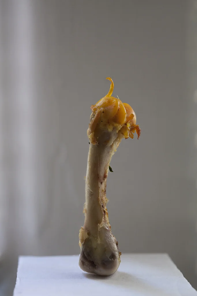 fb90d5a0aa7fd6bd-Bone.jpg
